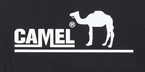 camel